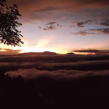 Готель Toraja Manubackpacker Рантепао Екстер'єр фото