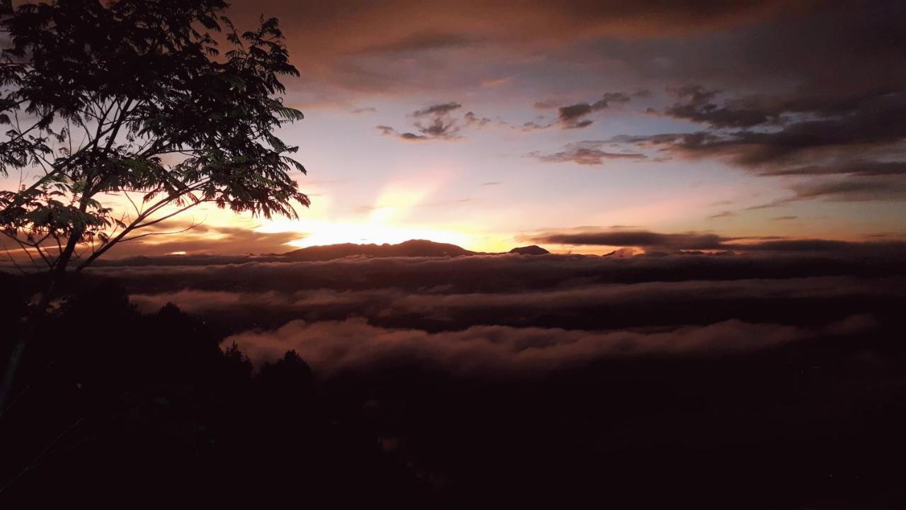 Готель Toraja Manubackpacker Рантепао Екстер'єр фото